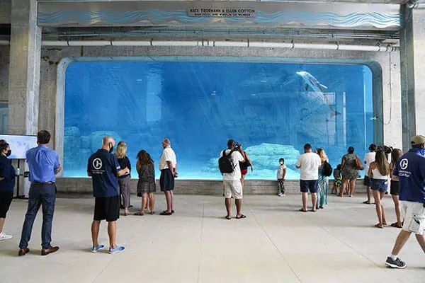 Clearwater Marine Aquarium