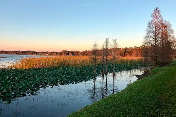 Lake Hollingsworth