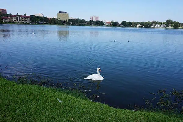 Lake Morton 1