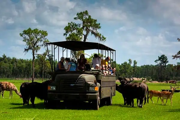 Safari Wilderness Ranch 1