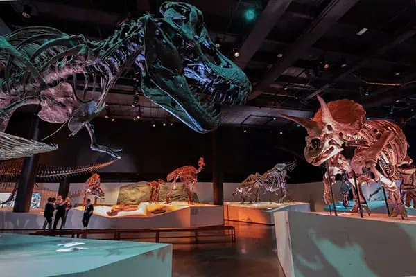 Houston Museum Of Natural Science