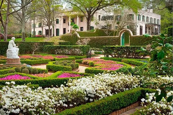 The Museum Of Fine Arts Houston