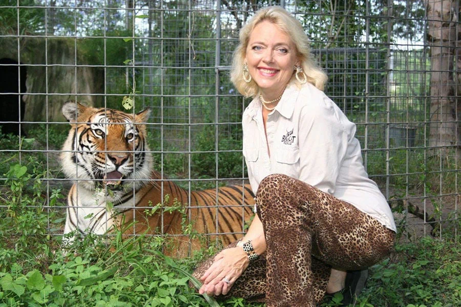 Big Cat Rescue