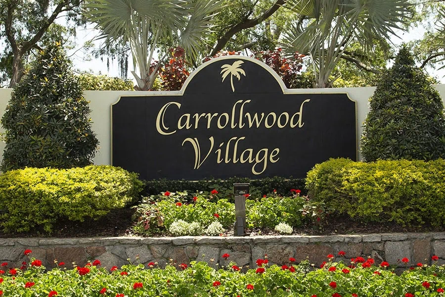 Carrollwood Village