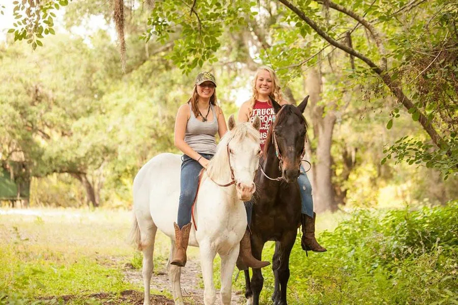 In The Breeze Ranch
