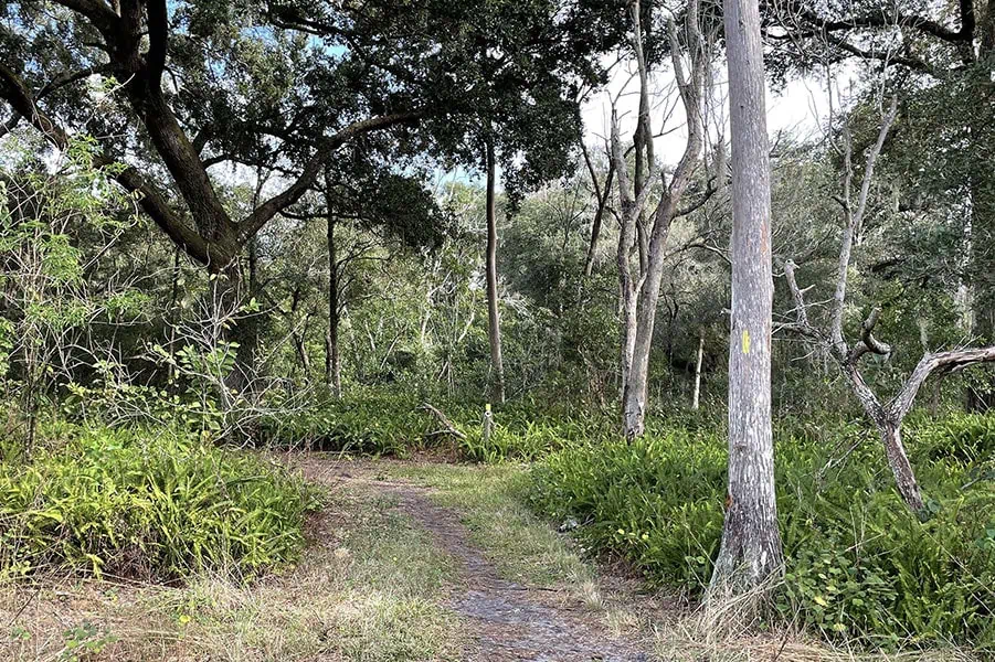 Rocky Creek Trails Nature Preserve