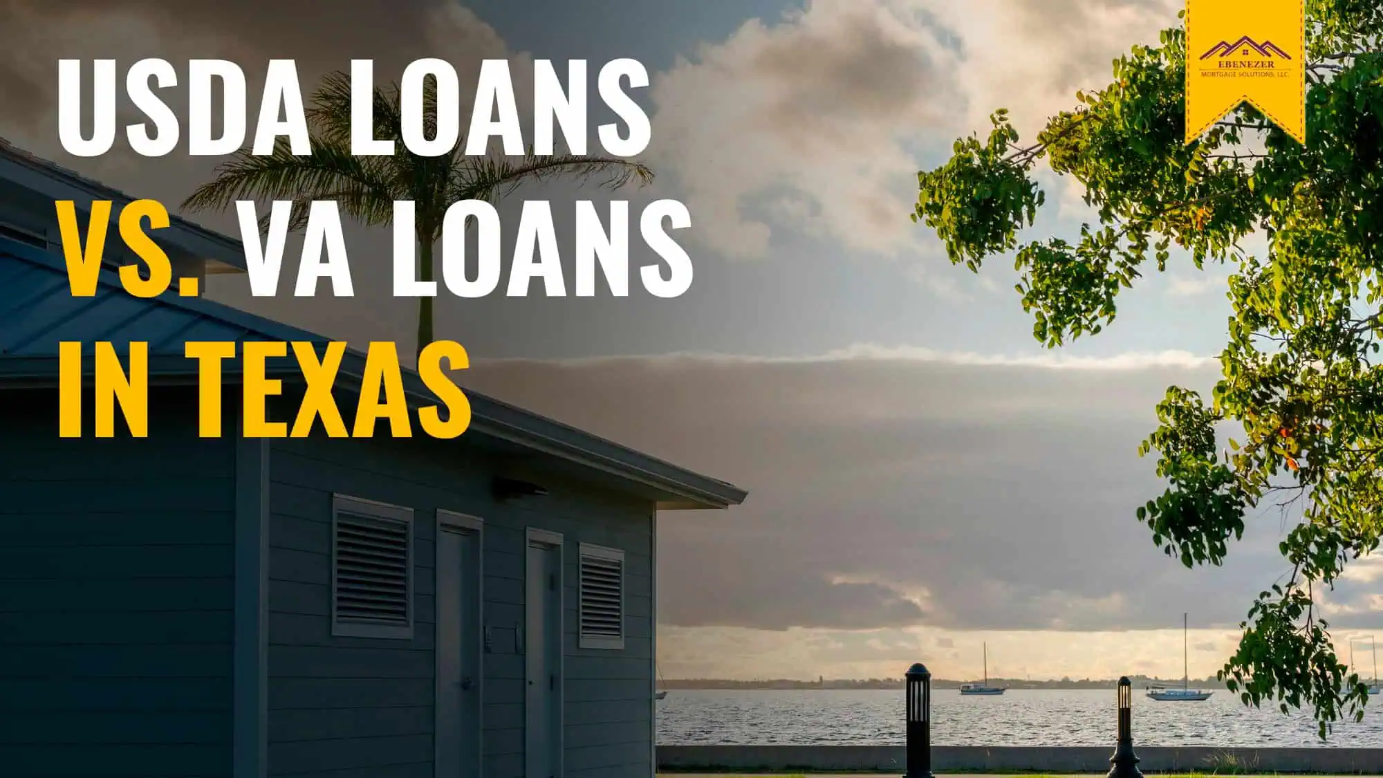 USDA Loans vs. VA Loans in Texas